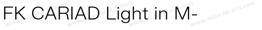FK CARIAD Light in M字体转换